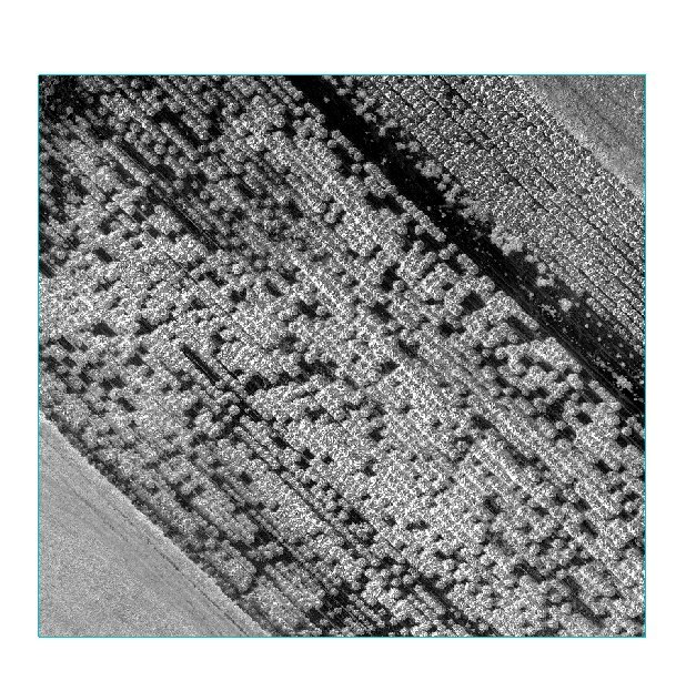NDVI vegetation index map produced by UUAS from a multispectral drone flight